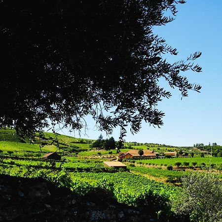 Quinta Do Monte Travesso - Country Houses & Winery Tabuaço المظهر الخارجي الصورة