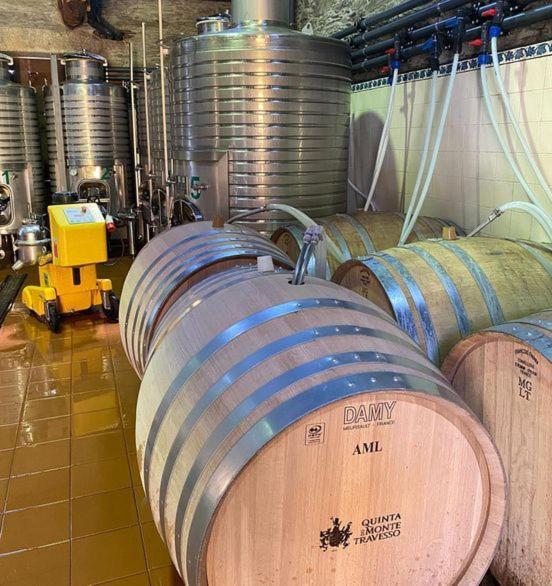 Quinta Do Monte Travesso - Country Houses & Winery Tabuaço المظهر الخارجي الصورة