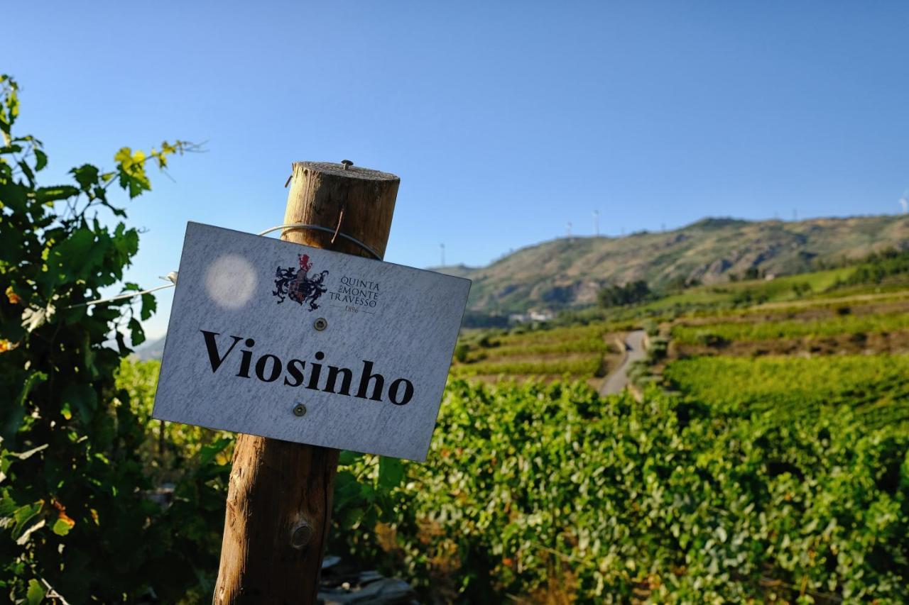 Quinta Do Monte Travesso - Country Houses & Winery Tabuaço المظهر الخارجي الصورة
