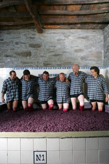Quinta Do Monte Travesso - Country Houses & Winery Tabuaço المظهر الخارجي الصورة