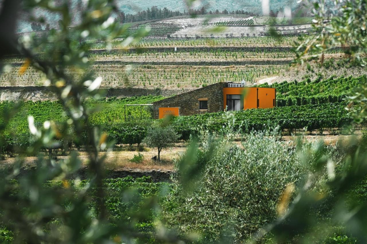 Quinta Do Monte Travesso - Country Houses & Winery Tabuaço المظهر الخارجي الصورة